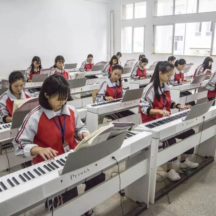 实训实习
