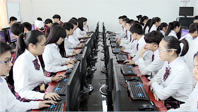 实训实习