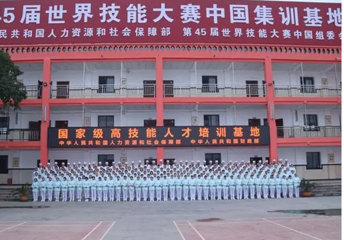 实训实习