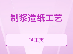 制浆造纸工艺