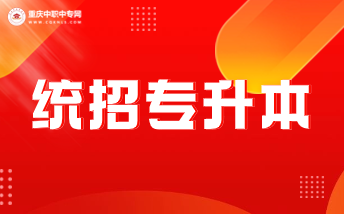 重庆市2024年普通高校专升本考试网上报名